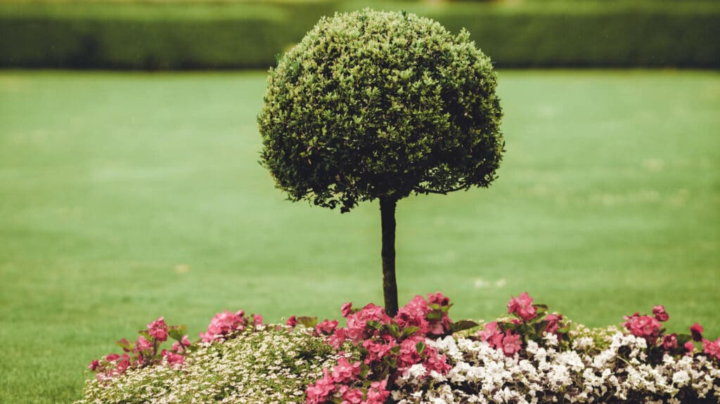 Your Guide to Going Green with Synthetic Turf