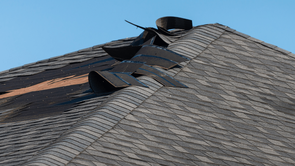 Signs Your Roof Needs to be Replaced Soon