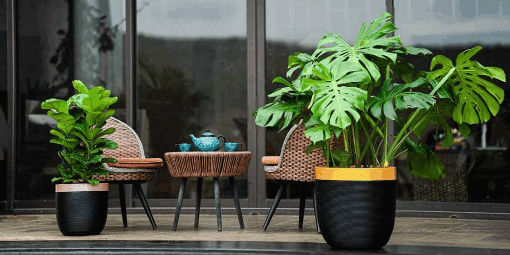 Matching Planters to Your Home’s Vibe