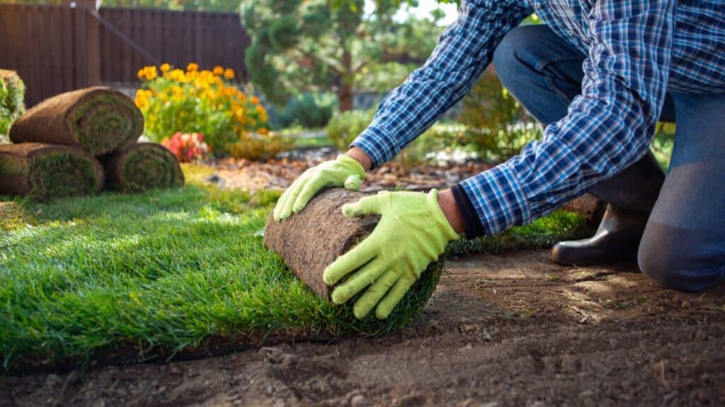 Lawn Installation Done Right – How to Achieve the Perfect Lawn