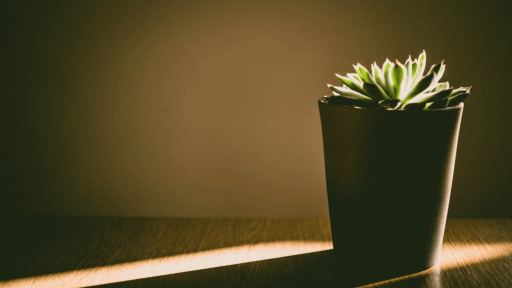 Design Considerations That Make or Break Daylighting