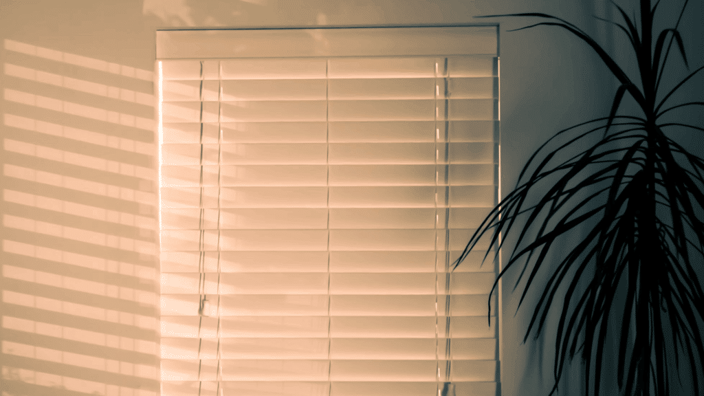Shades from Blinds To Go | Honest Review: A Whole-Home Shade Update