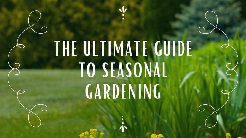 The Ultimate Guide to Seasonal Gardening