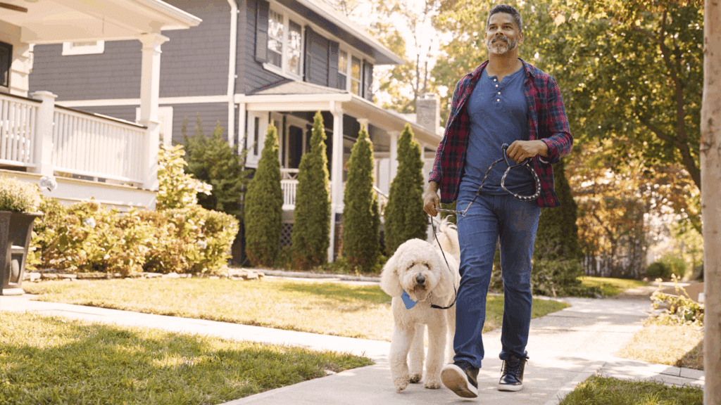 1. Walk or Move Your Body Most Days