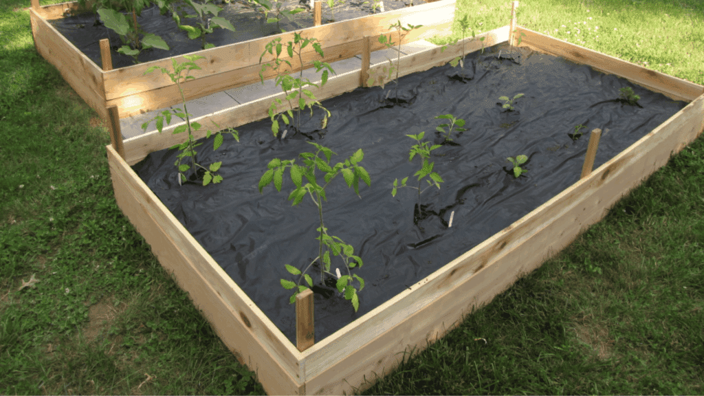 4x8 raised garden bed planting layout
