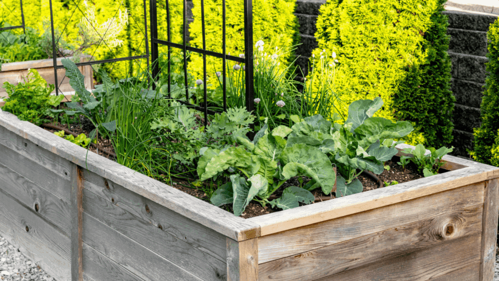 4x8 raised garden bed planting layout