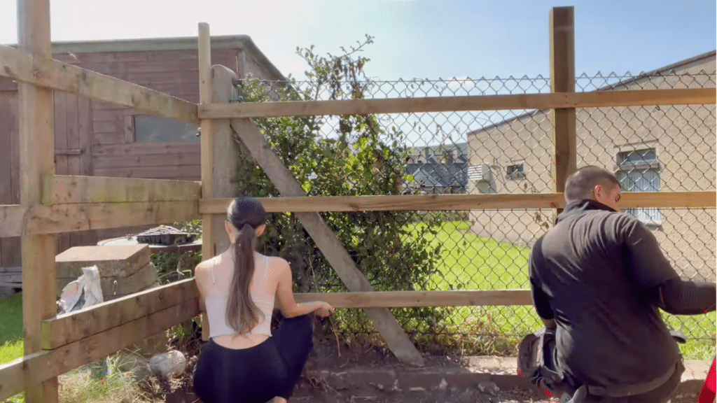 Fit the Top, Middle, and Bottom Rails