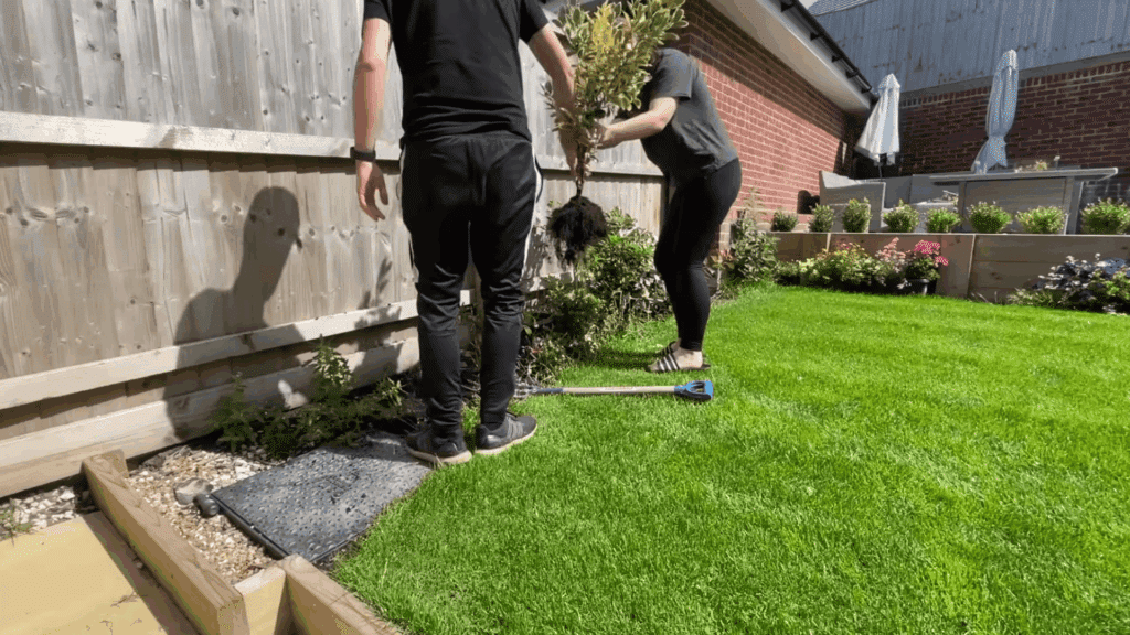 Step 1 Remove Existing Plants