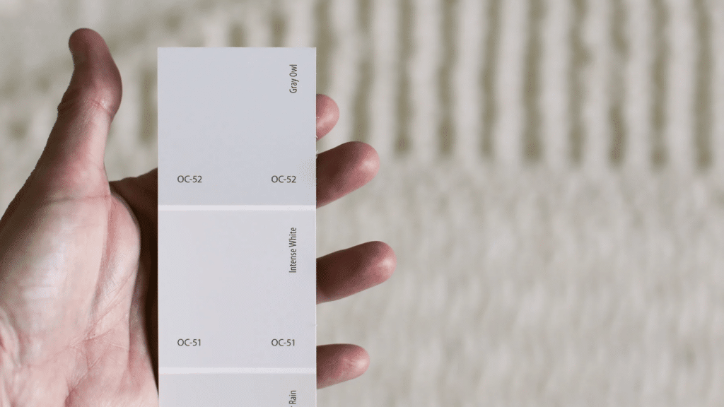 Where to Buy Gray Owl Paint Samples?