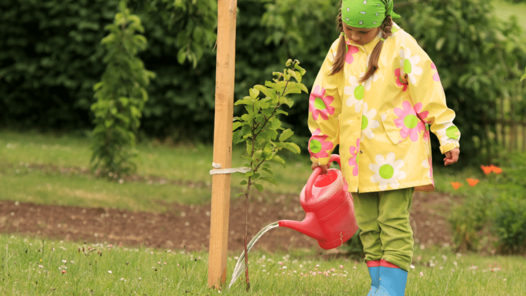 best time to water garden