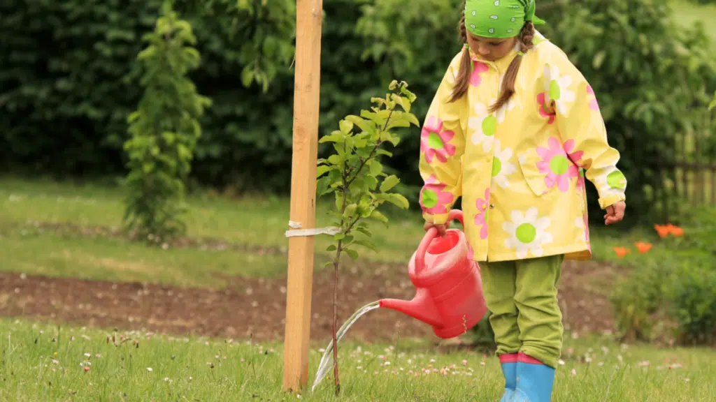 best time to water garden