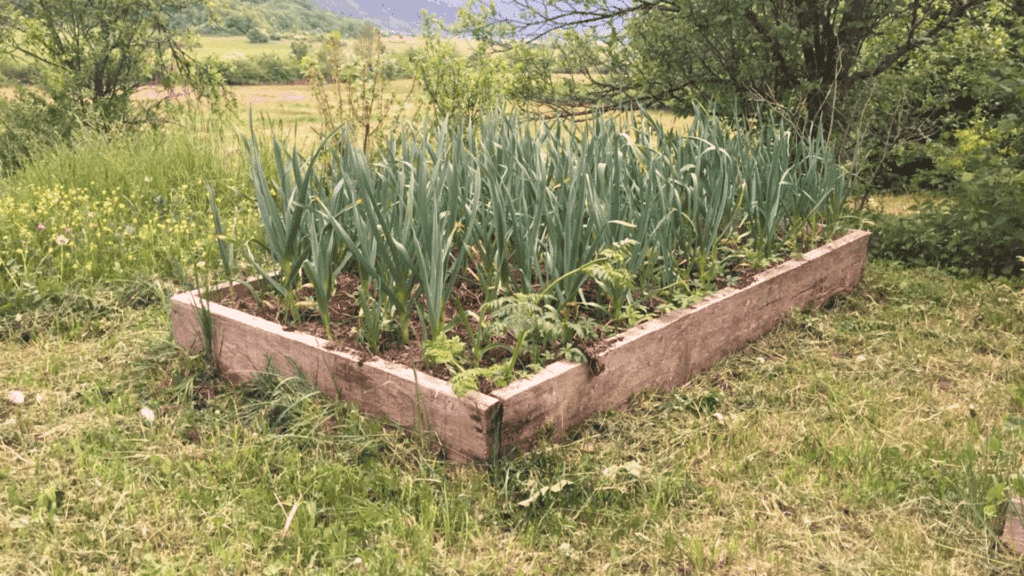 diy raised garden bed layers