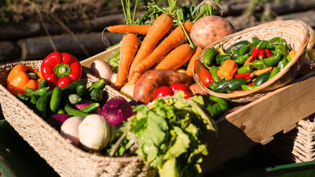 easiest vegetables to grow-featured image