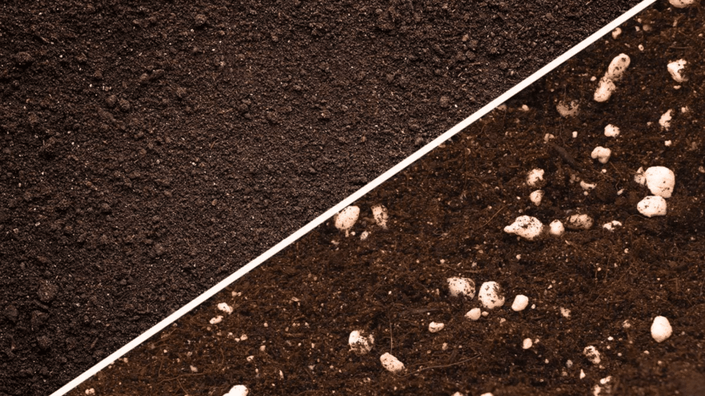 Garden Soil vs Potting Soil: What’s the Key Difference?