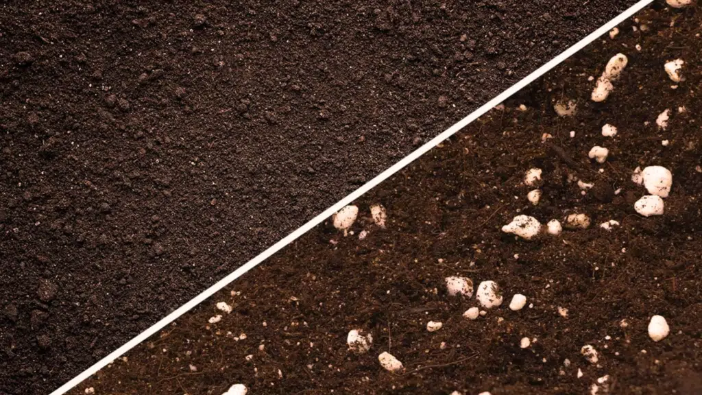 Garden Soil vs Potting Soil: What’s the Key Difference?