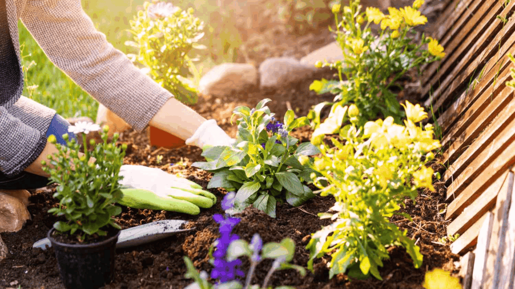 how to start a flower garden.