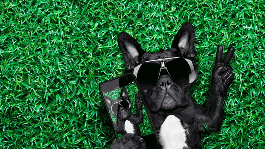 launch a selfie scavenger hunt