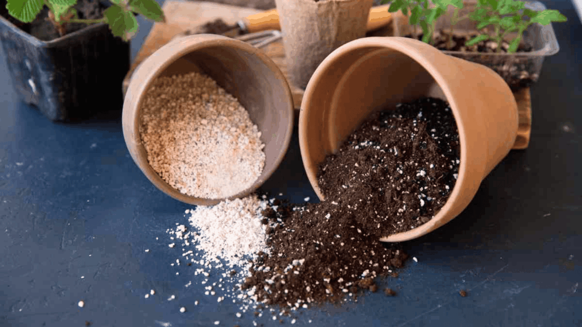 Potting Soil vs Potting Mix: What’s the Difference? - Opple House
