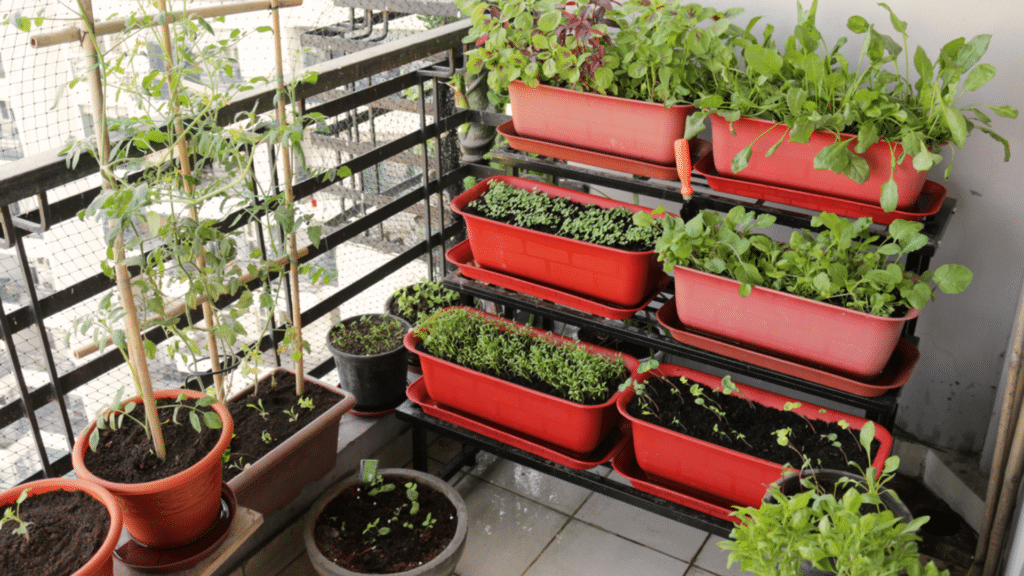 Common Indoor Vegetable Gardening Mistakes