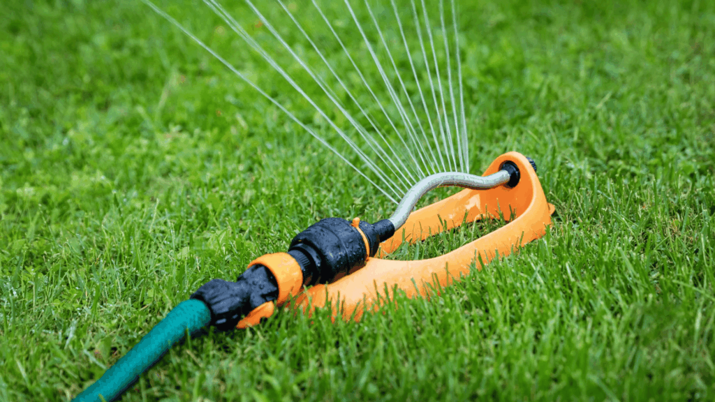 Step 5 Water and Keep the Soil Moist