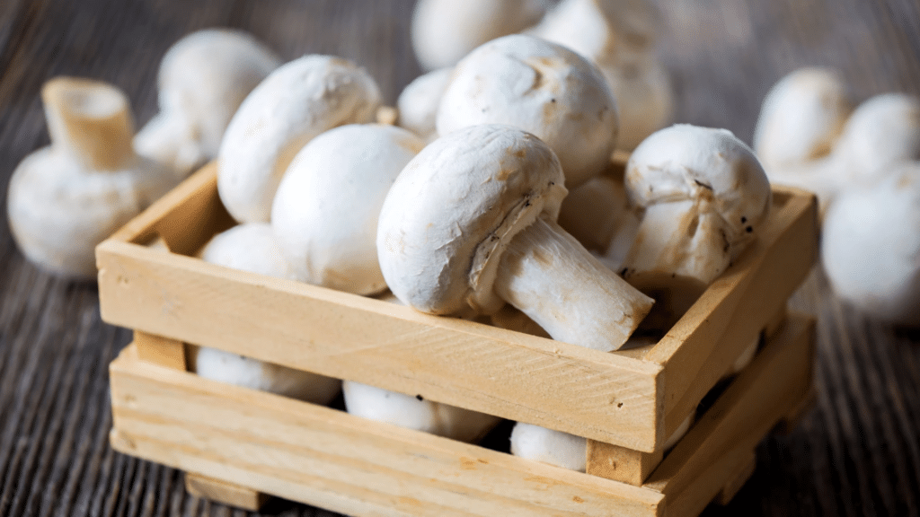 White Button Mushrooms