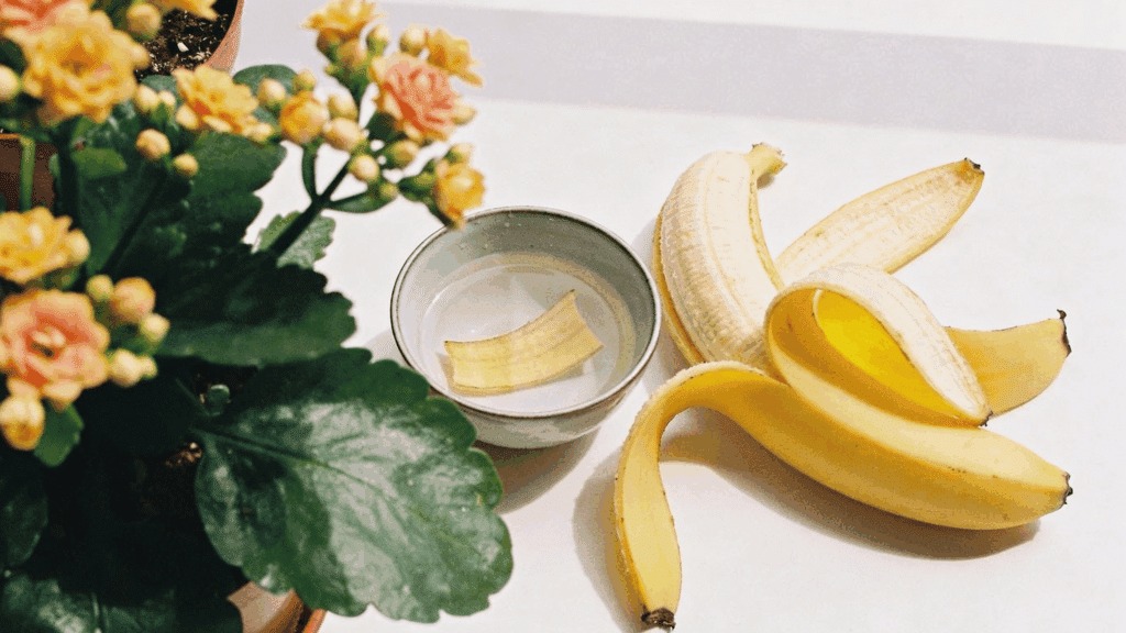 banana peel fertilizer