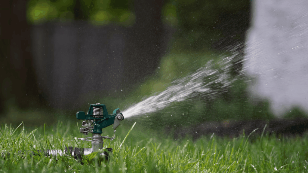 The Yard Care Habits That Make Everything Else Easier