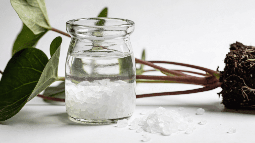 epsom salt solution