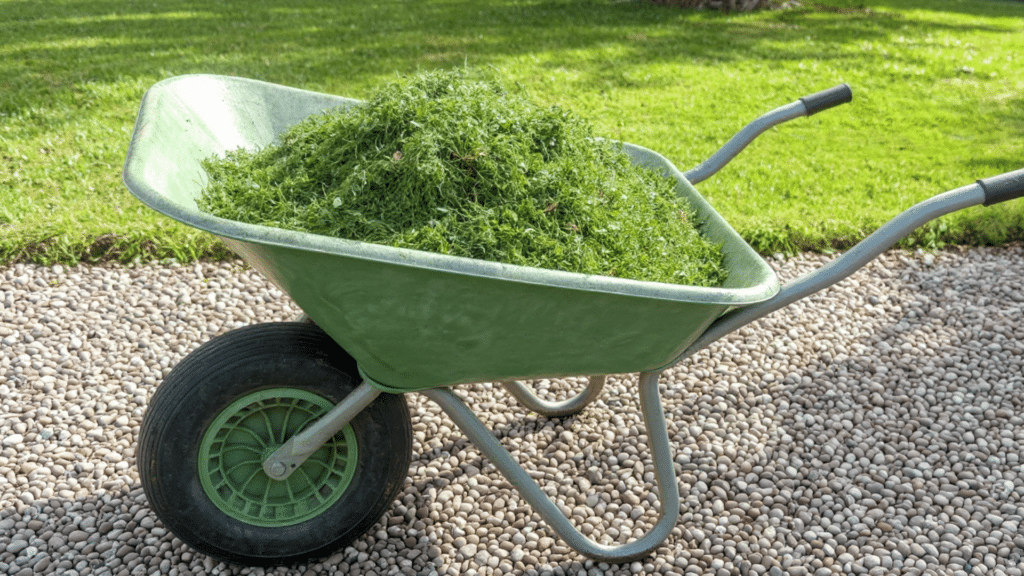 grass clippings mulch