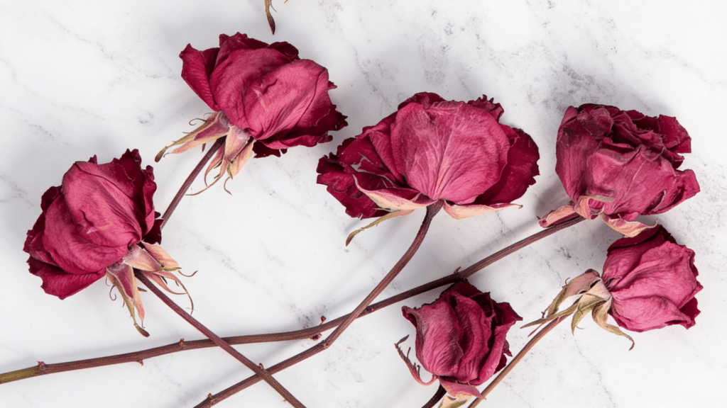 how to dry flowers at home