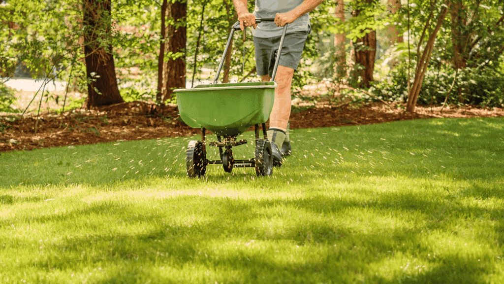 how to reseed a lawn-featured image