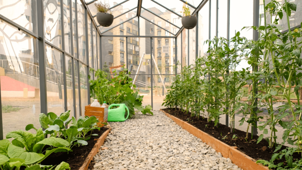indoor vegetabl garden