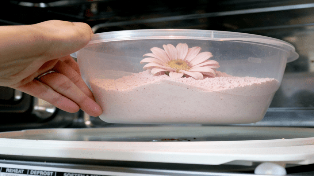 microwave flower drying