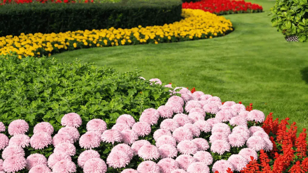 minimalist geometric flower beds