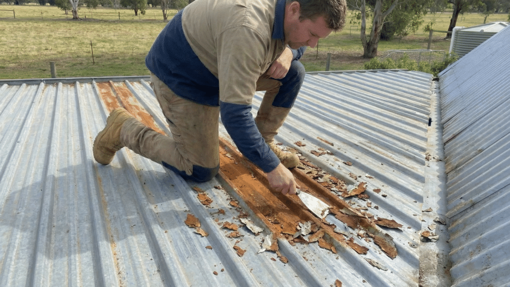 remove loose or peeling paint