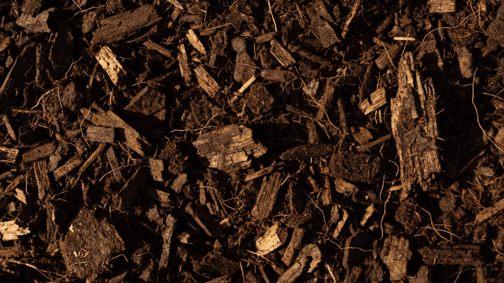 shredded bark mulch