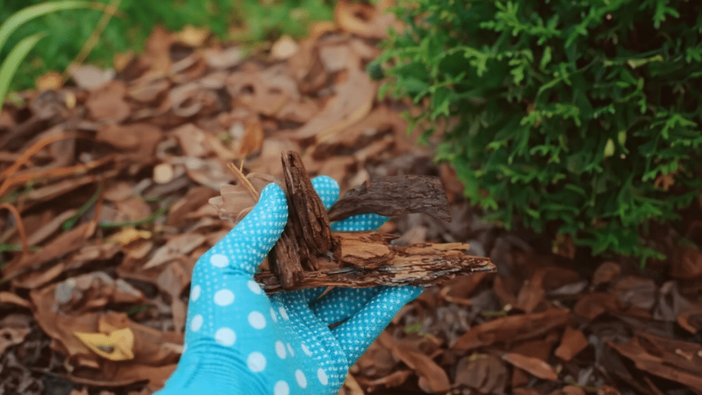 what is wood mulch