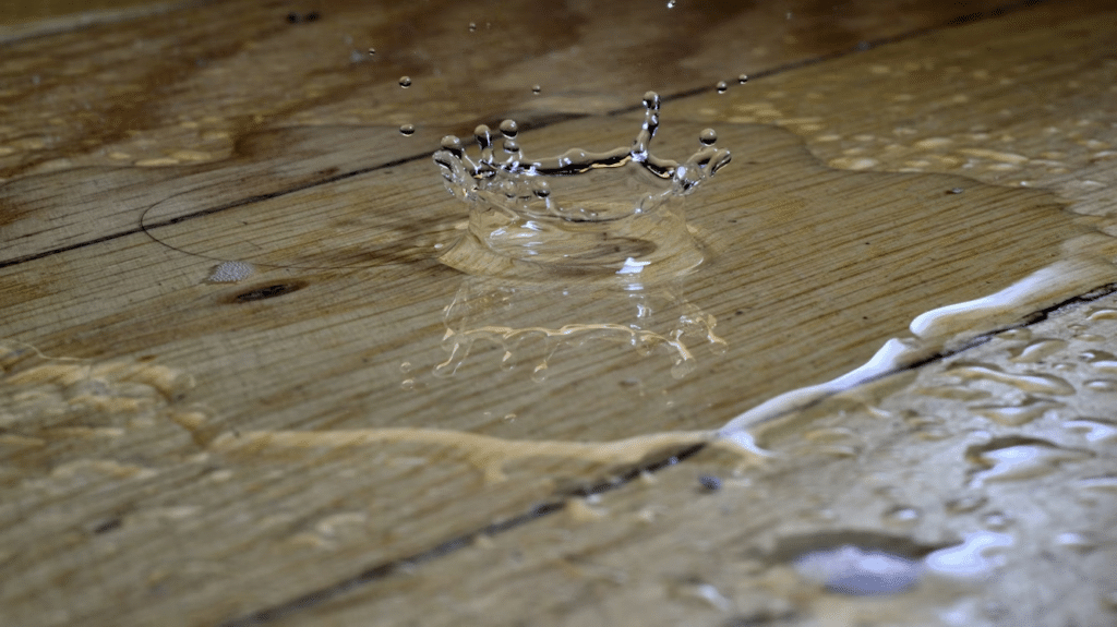 6 Hidden Costs Of Water Damage And How To Avoid Them