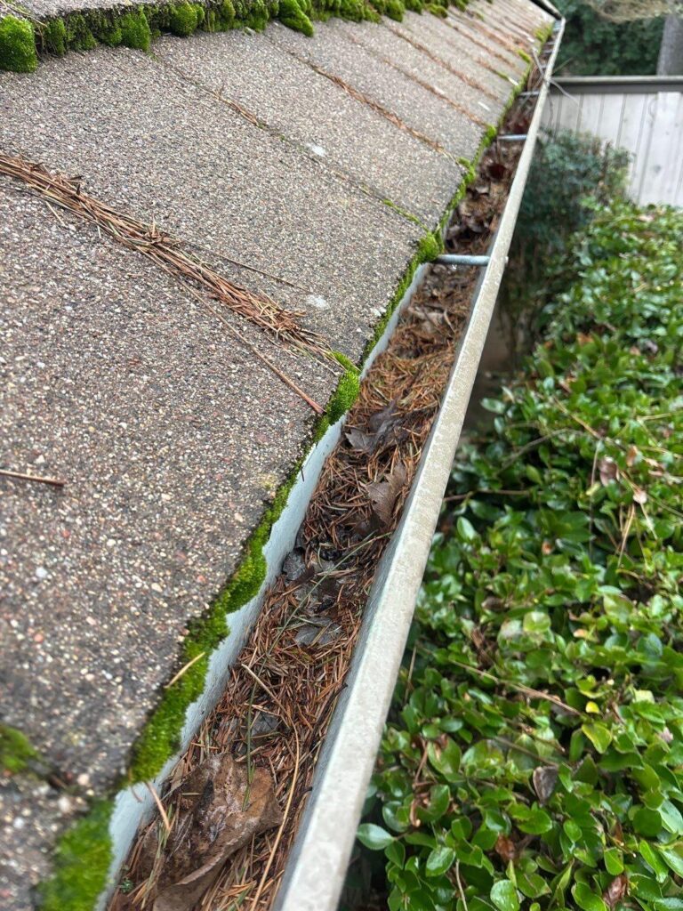Your Clogged Gutters Are Inviting Pests Into Your Vancouver Home