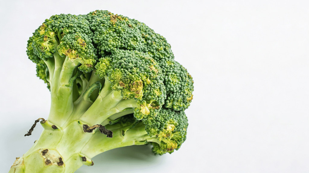 Close-up of a fresh broccoli crown with visible slight yellowing and dark stem spots against a white background