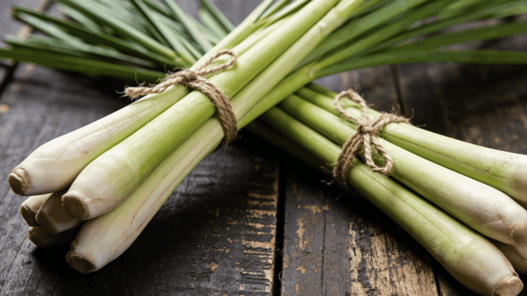 Two bundles of fresh lemongrass stalks tied with twine rest on a dark, rustic wooden surface.