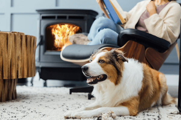 Heat Your Space in Style: A Sleek, Efficient Pellet Heating Solution Efficient Pellet Heating Solution