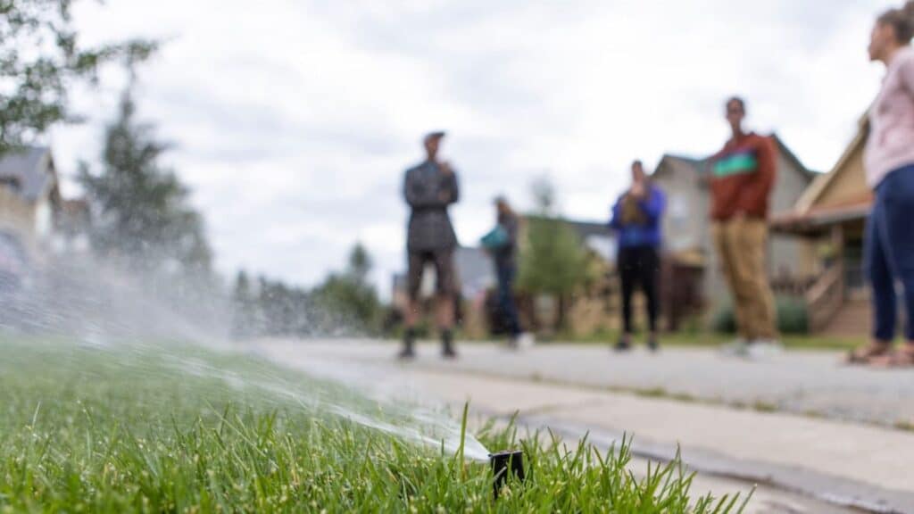 Community Opinions on Watering Lawn