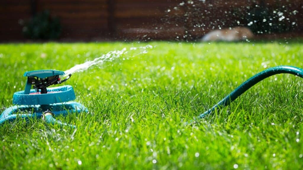 Factors to Consider While Watering Lawn