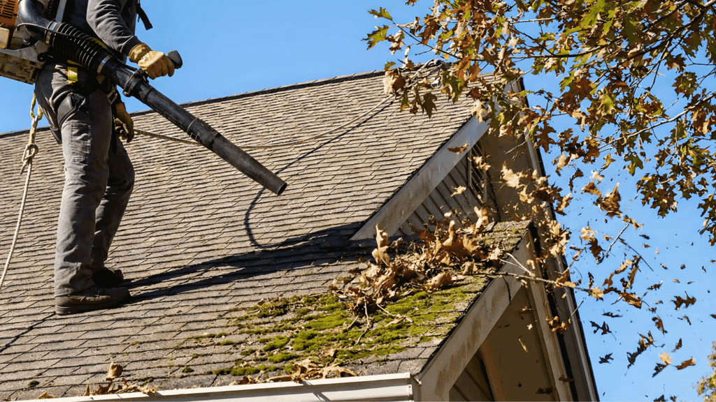 Homeowner blowing leaves off mossy roof to clear debris before cleaning (2)