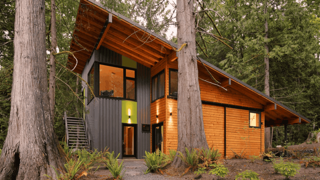 Modern wood and metal house with shed roof surrounded by tall trees in a forest setting