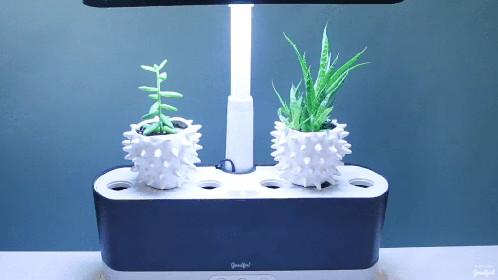 Two small potted succulents grow under the bright white light of a indoor smart garden system