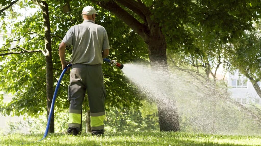 best time to water lawn