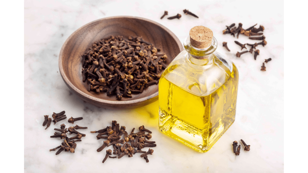 clove essential oil in a glass bottle with cork beside a wooden bowl filled with dried cloves scattered on a light marble surface natural pest repellent
