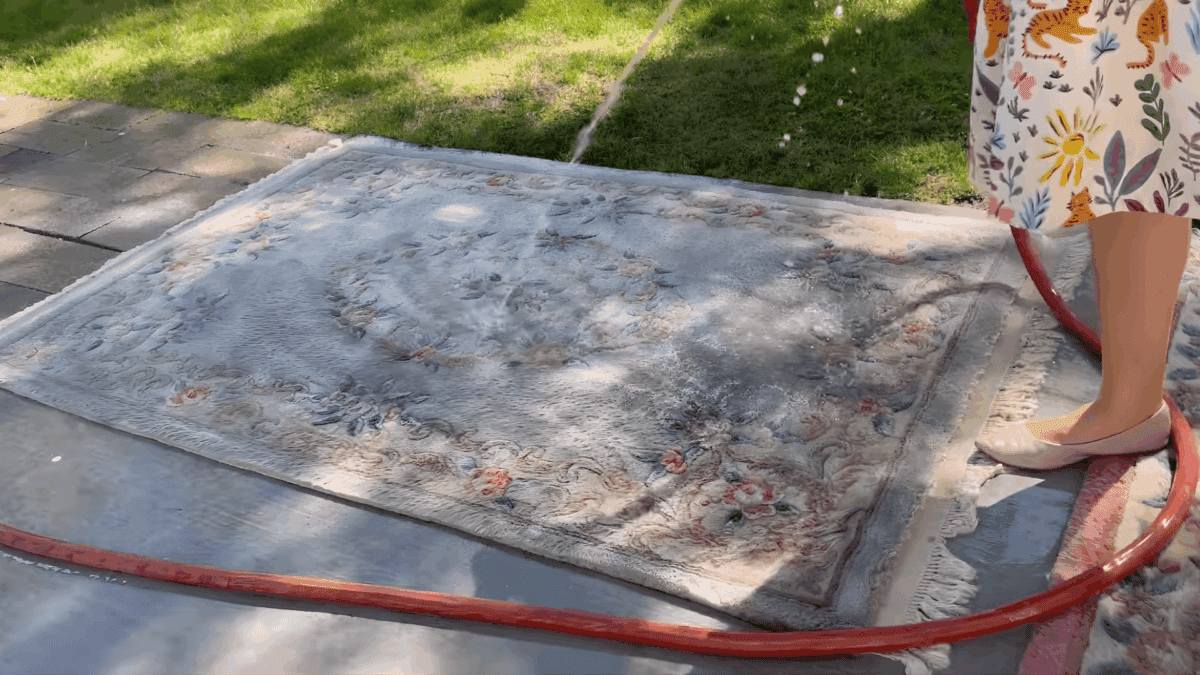 How to Clean a Wool Rug without Damage? - Opple House